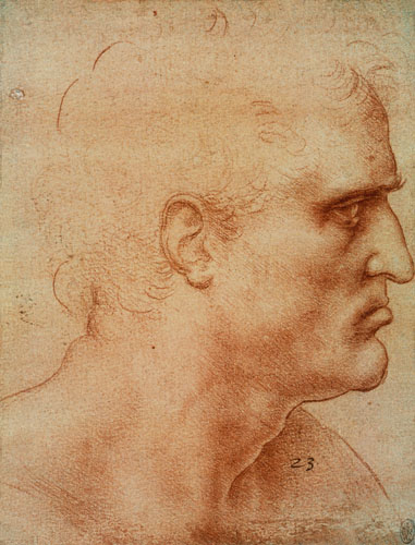 Study for the Holy Communion (Bartholomäus) a Leonardo da Vinci